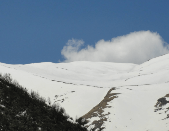 Bagini Glacier Trek Guide 2024: History, Highlights, Best Time & Itinerary