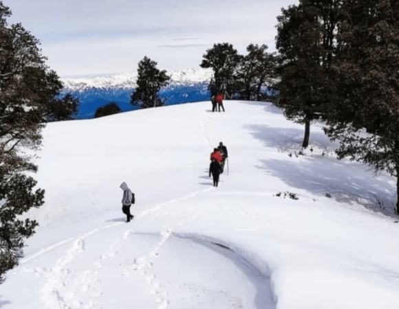 Nag Tibba Trek Guide 2024: History, Highlights, Best Time, How to Reach and Itinerary