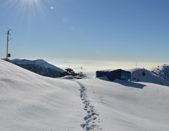 Triund Trek, Check History, Distance & Best Time to Visit